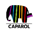 Icon Partner RaumwerQ Caparol